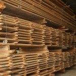 timber being air dried