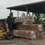 export fijian mahogany