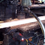 Timber being sawn 