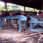 Logs on the bench ready to be processed